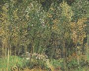 The Grove (nn04) Vincent Van Gogh